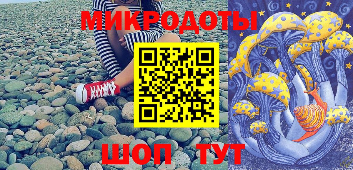 Псилоцибиновые грибы MAGIC MUSHROOMS  Галлюциногенные грибы Psilocybe  Ачхой-Мартан  Вход с VPN 